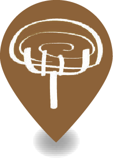 観葉植物専門店 東京の観葉植物専門店 グランデ立川店 店舗紹介